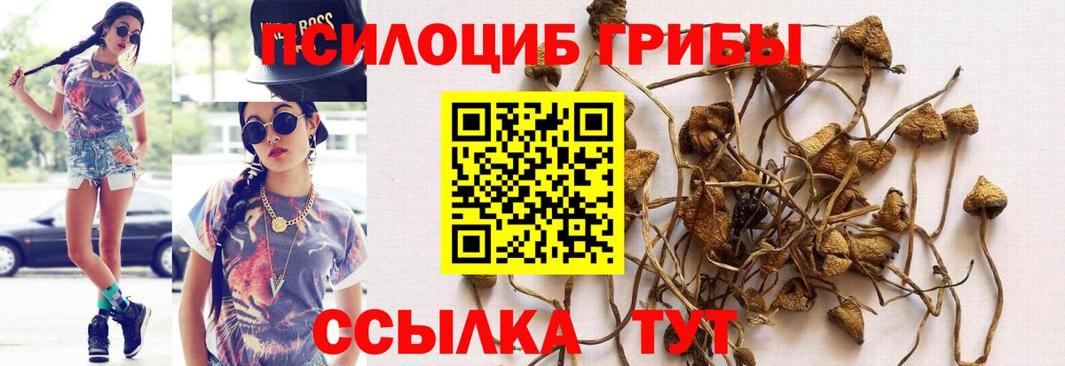 Гусь-Хрустальный  Псилоцибиновые грибы мицелий  Вход с VPN  Галлюциногенные грибы Psilocybine cubensis 